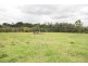 119 Cooroy Mountain Road, Cooroy QLD 4563