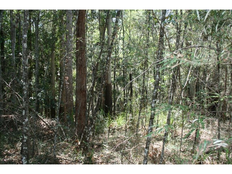 24 Koala Crescent, Cooroy QLD 4563