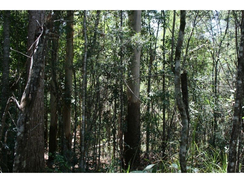 24 Koala Crescent, Cooroy QLD 4563