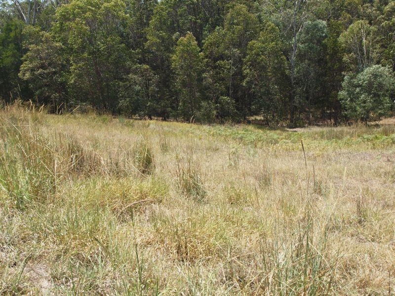 41 Wirruna Drive, Cooran QLD 4569