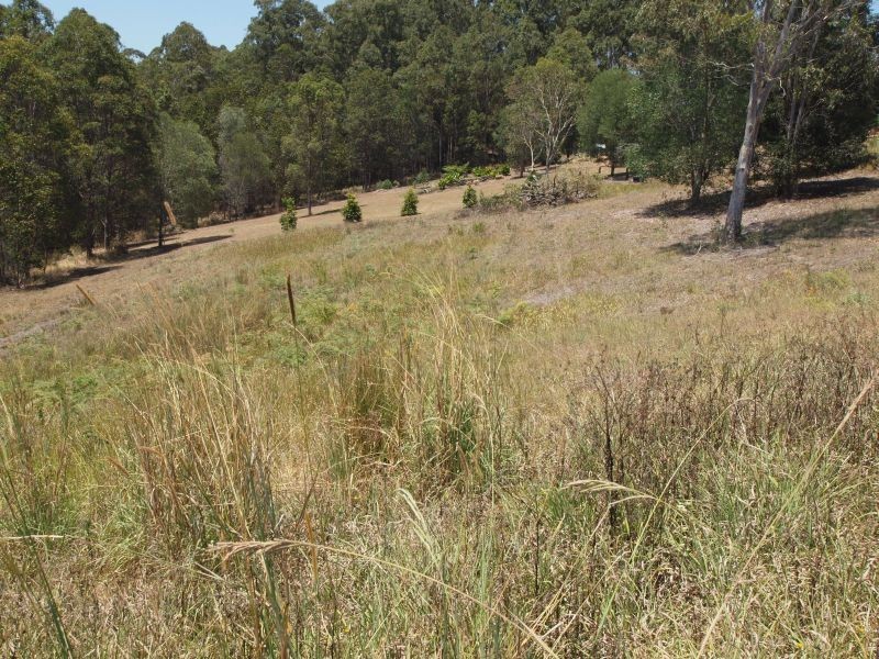 41 Wirruna Drive, Cooran QLD 4569