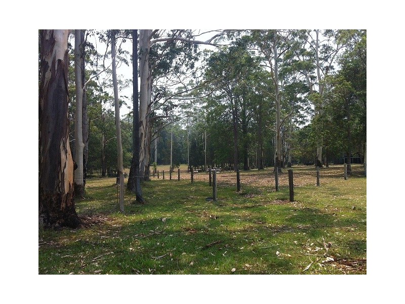 Lot 10 – 305 Dath Henderson Road, Tinbeerwah QLD 4563