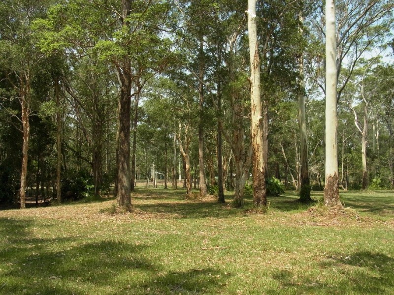 Lot 10 – 305 Dath Henderson Road, Tinbeerwah QLD 4563