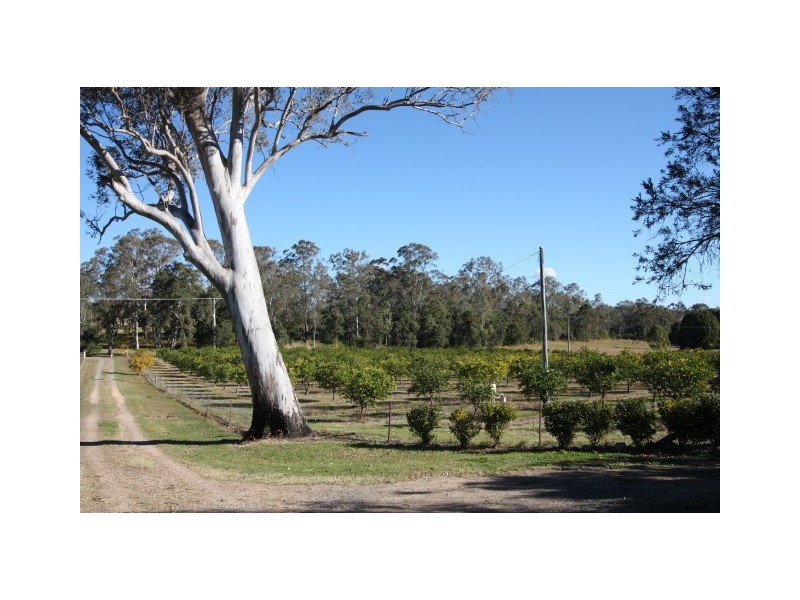 1280 Eumundi Kenilworth Road, Eumundi QLD 4562