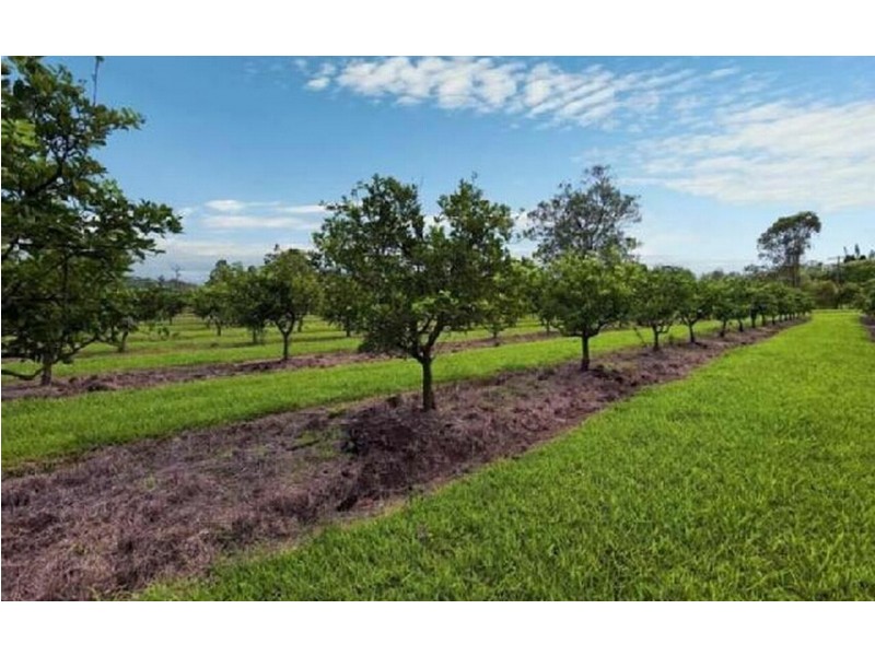 1280 Eumundi Kenilworth Road, Eumundi QLD 4562