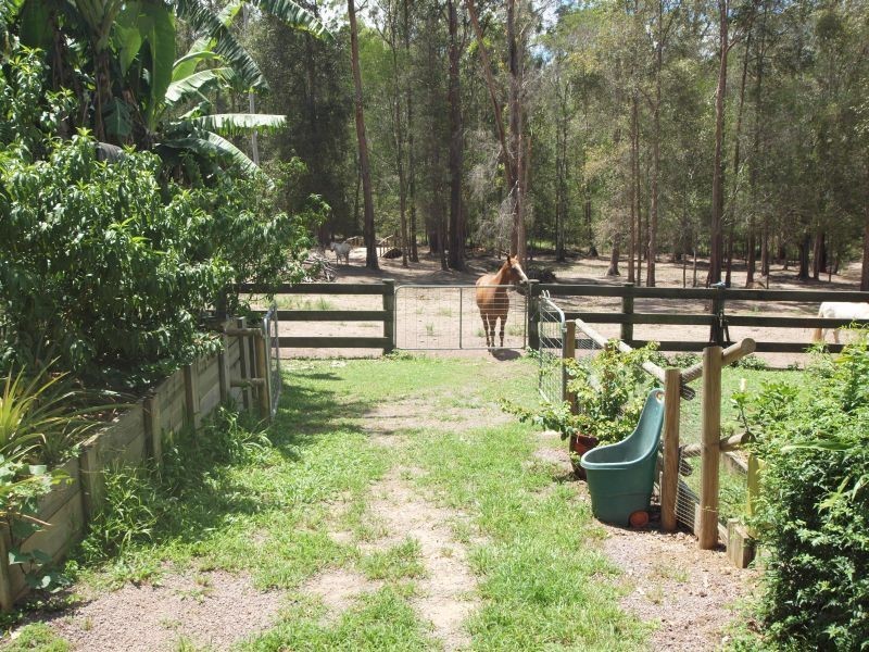 229 Highfield Rise, Pomona QLD 4568