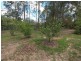 229 Highfield Rise, Pomona QLD 4568