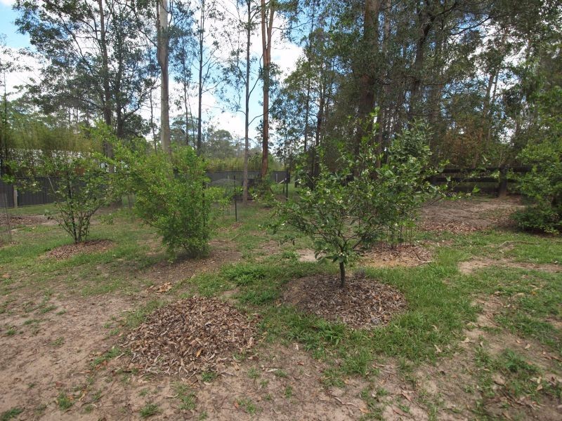 229 Highfield Rise, Pomona QLD 4568