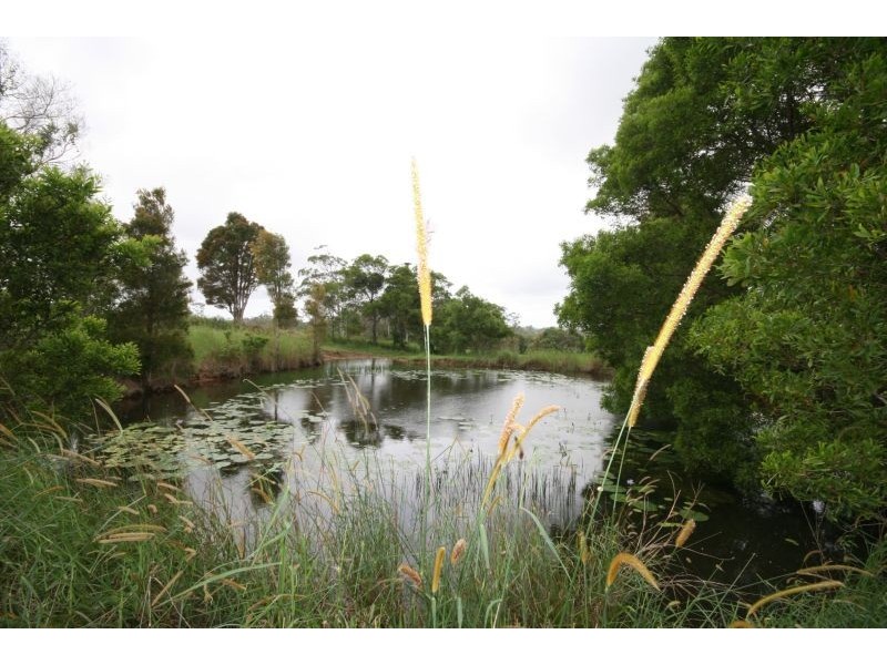 95 Ferrells Road, Cooroy QLD 4563