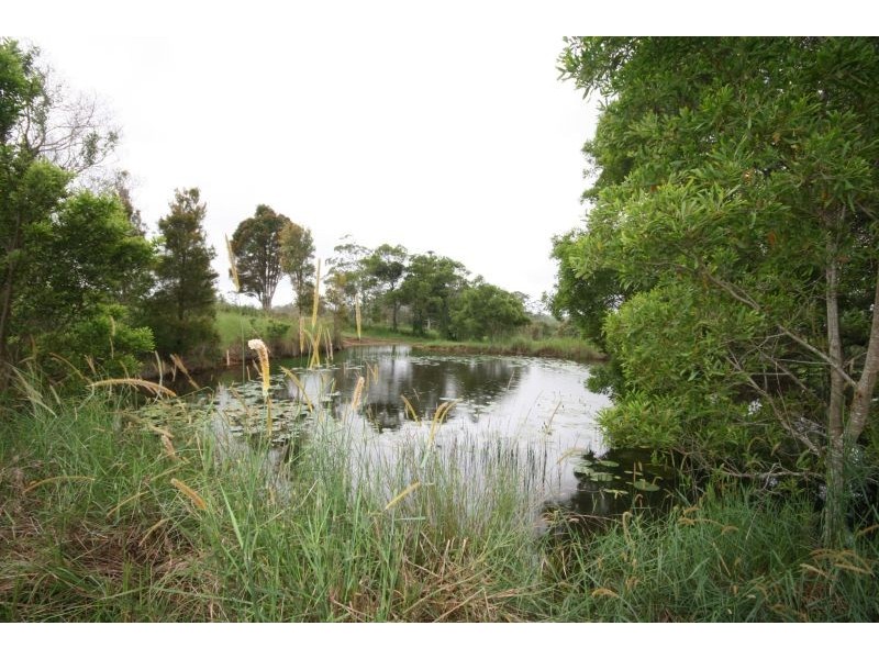 95 Ferrells Road, Cooroy QLD 4563