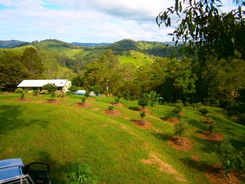 185 Top Forestry Road, Cooroy QLD 4563