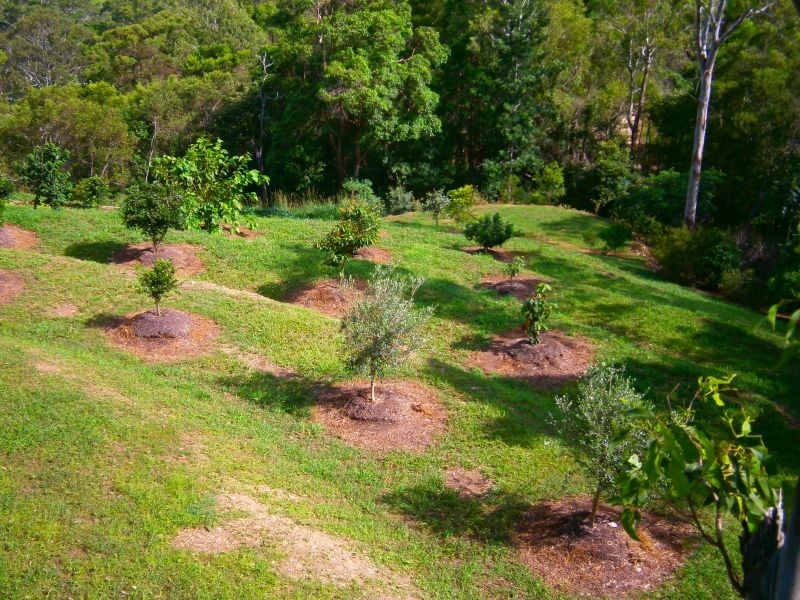 185 Top Forestry Road, Cooroy QLD 4563