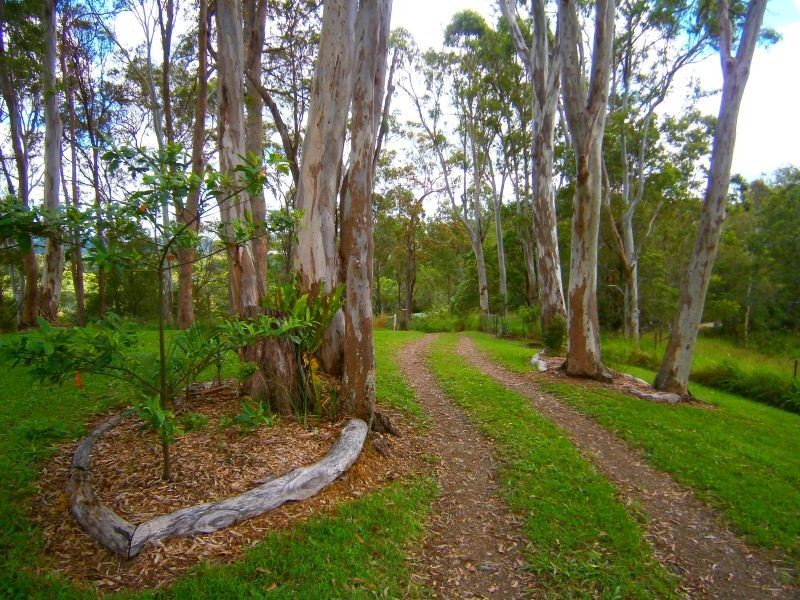 185 Top Forestry Road, Cooroy QLD 4563