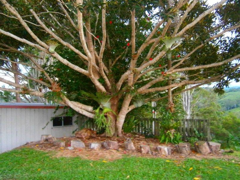 185 Top Forestry Road, Cooroy QLD 4563