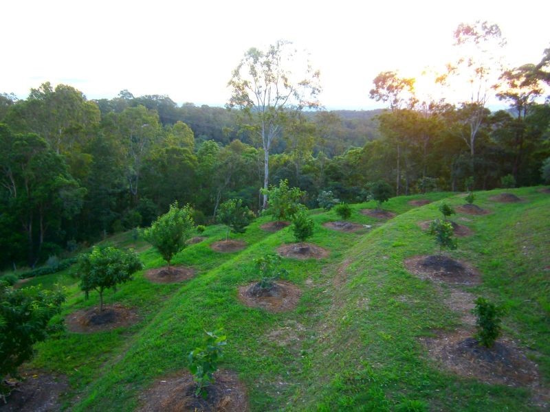 185 Top Forestry Road, Cooroy QLD 4563