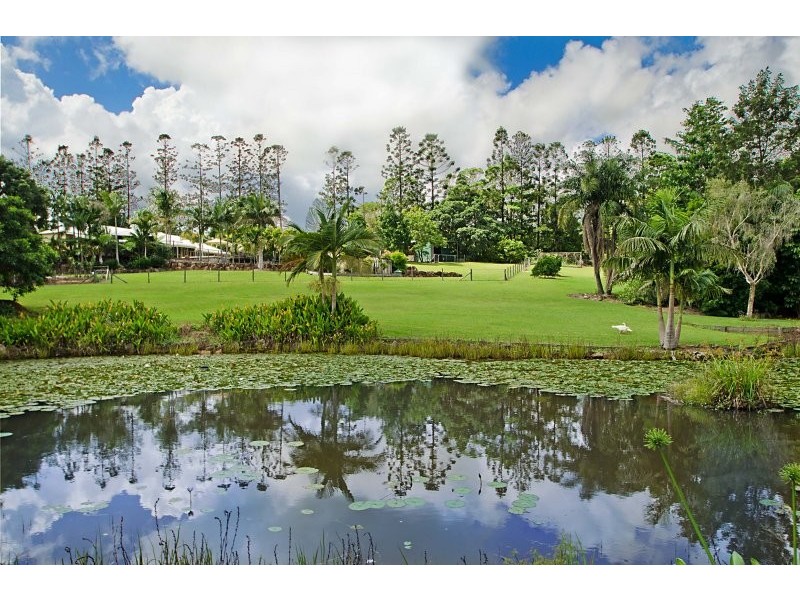 21 Racehorse Lane, Cooroy QLD 4563