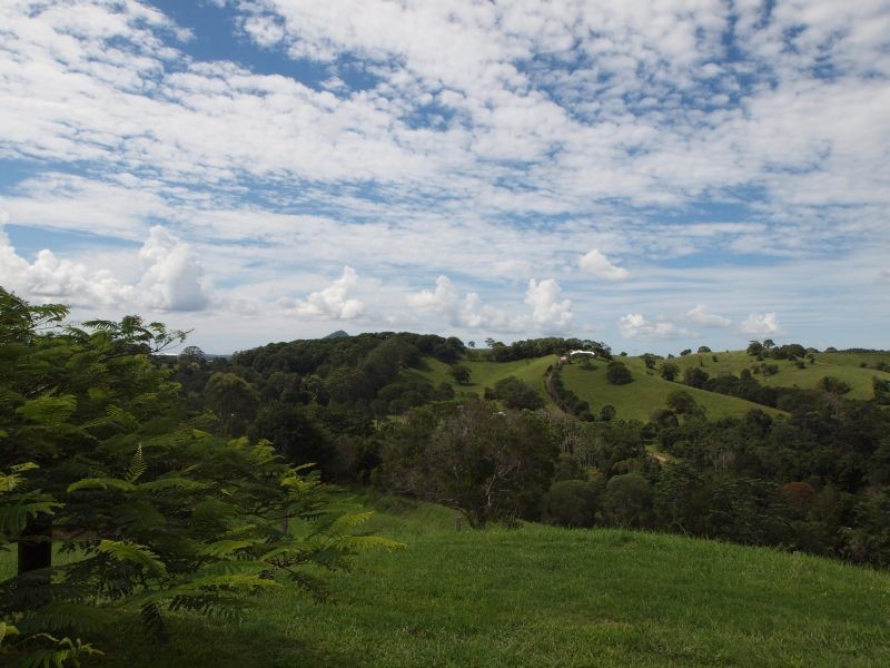 239 Cooroy Belli Creek Road, Cooroy QLD 4563