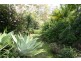 4 Sugargum Place, Cooroy QLD 4563