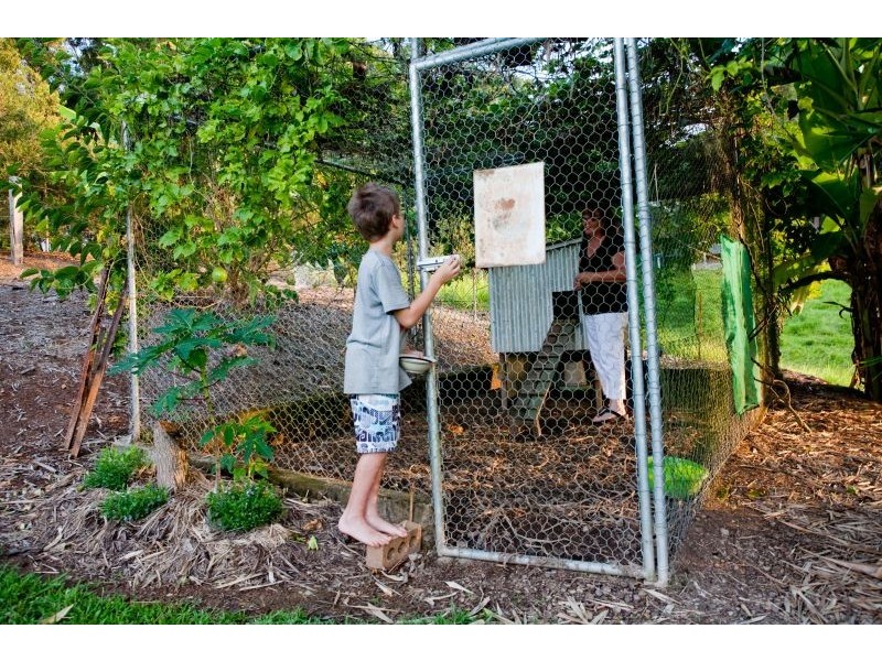 236 Noakes Road, Traveston QLD 4570