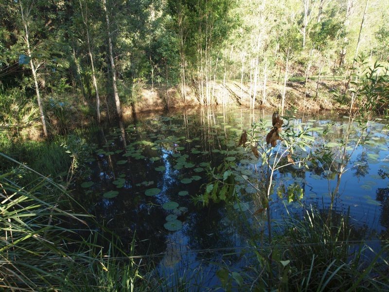 19 Highland Drive, Cooroy QLD 4563