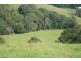 Lot 1 Blanckensee Road, Cooroy QLD 4563