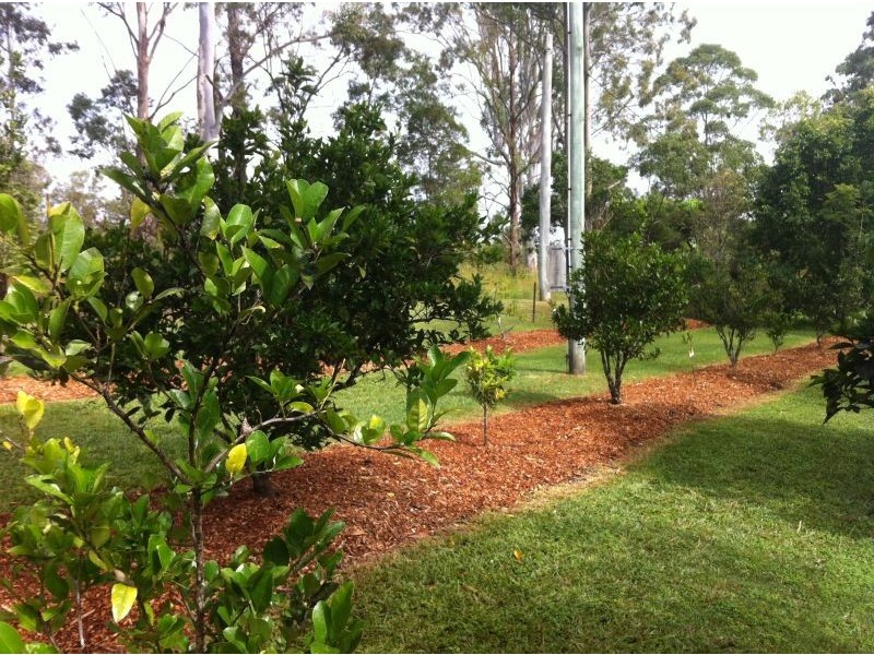 93 Fleetwood Road, Eumundi QLD 4562