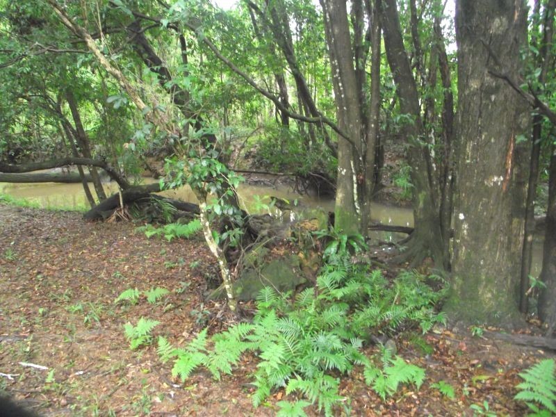 10 Flooded Gum Place, Cooroy QLD 4563