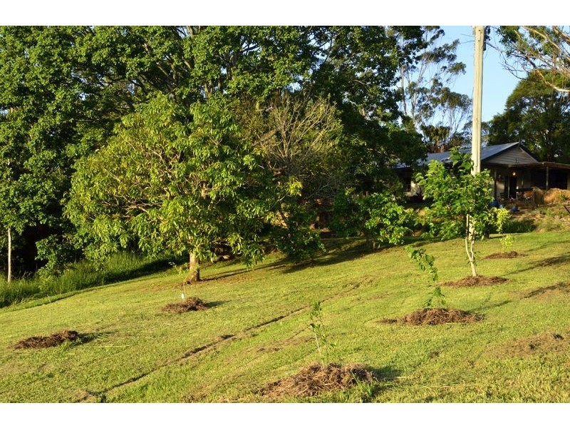 199 Black Mountain Range Road, Cooroy QLD 4563