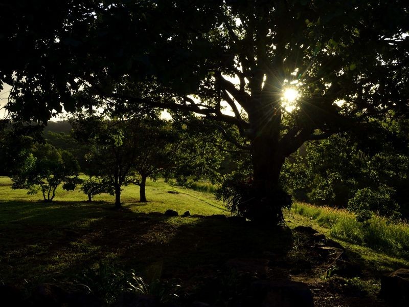 199 Black Mountain Range Road, Cooroy QLD 4563