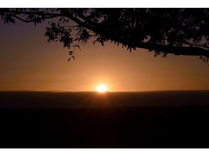 199 Black Mountain Range Road, Cooroy QLD 4563