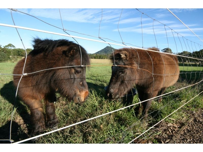 801 Echidna Lane, Cooroy QLD 4563