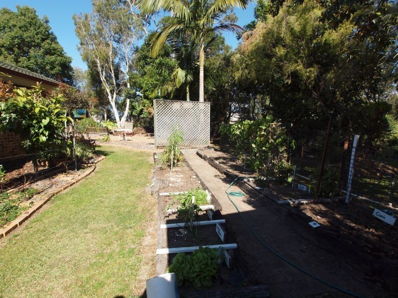 97 Blueberry Drive, Cooroy QLD 4563