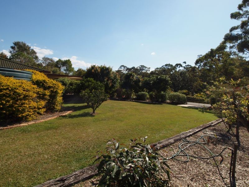 97 Blueberry Drive, Cooroy QLD 4563
