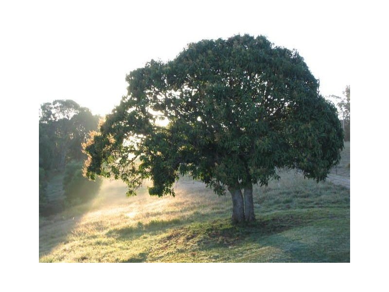 172 Pomona Connection, Pomona QLD 4568