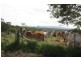 14 Sankeys Road, Pomona QLD 4568