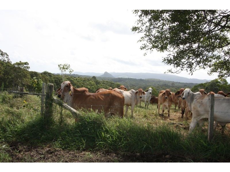 14 Sankeys Road, Pomona QLD 4568