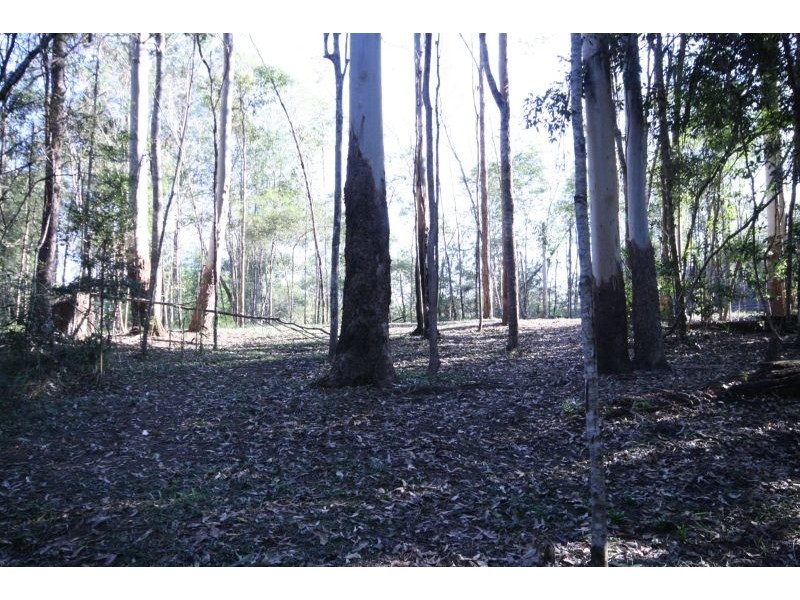 24 Koala Crescent, Cooroy QLD 4563