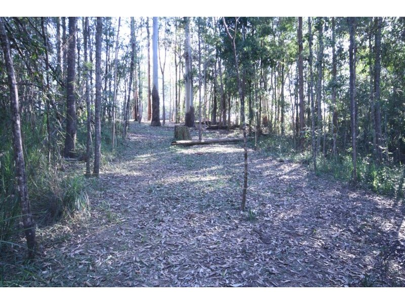 24 Koala Crescent, Cooroy QLD 4563