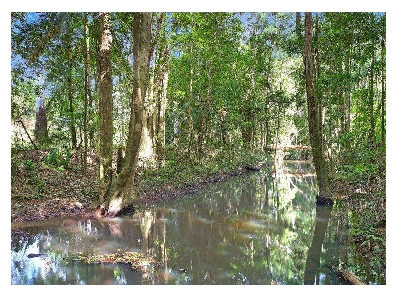 22 Northeden Court, Cooroy QLD 4563