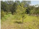 68 Coles Creek Road, Cooran QLD 4569