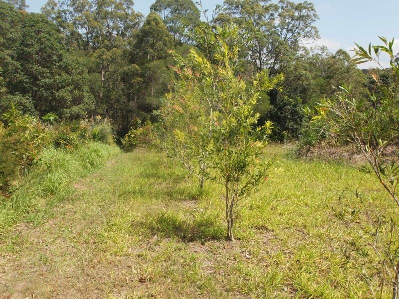 68 Coles Creek Road, Cooran QLD 4569
