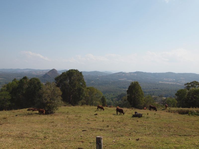 303 Tablelands Road, Cooran QLD 4569