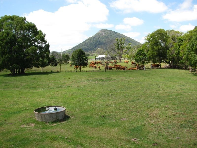 803 Cooroy Noosa Road, Cooroy QLD 4563