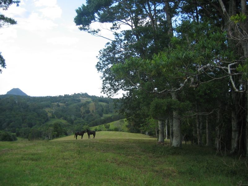 400 Black Mountain Road, Black Mountain QLD 4563