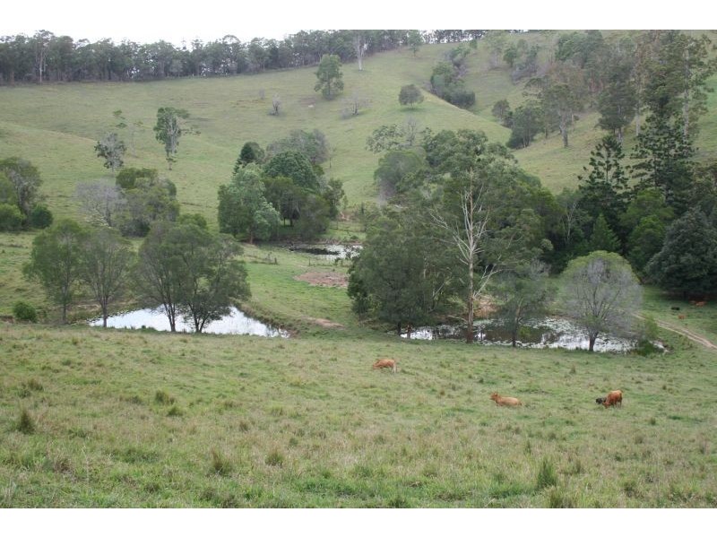 431 Top Forestry Road, Cooroy QLD 4563