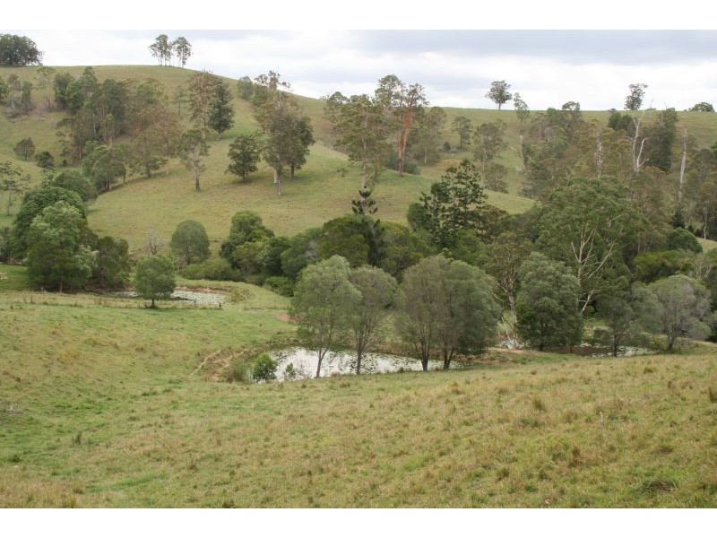 431 Top Forestry Road, Cooroy QLD 4563