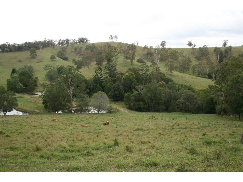 431 Top Forestry Road, Cooroy QLD 4563