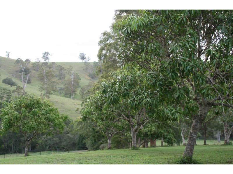 431 Top Forestry Road, Cooroy QLD 4563