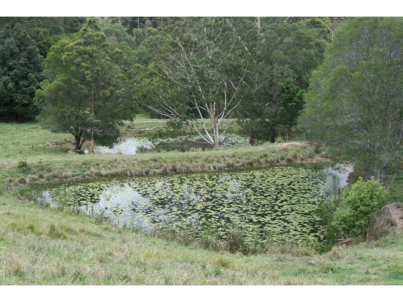 431 Top Forestry Road, Cooroy QLD 4563