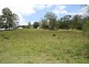 431 Top Forestry Road, Cooroy QLD 4563